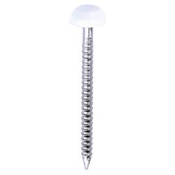 TIMCO Polymer Headed Pins - 30mm Length - White - Pack of 250