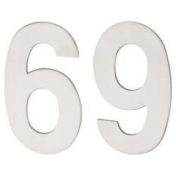 Altro 100mm Concealed Screw Fix Door Numeral - 6 / 9 - Polished Stainless Steel