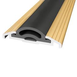 Sealmaster Cyclone Seal - 1000mm Length - TEG Threshold - Inward Opening Doors - Gold Anodised