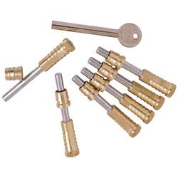 ERA Vertical Sliding Sash Screw - Satin Brass - Pack of 2 with 1 Key